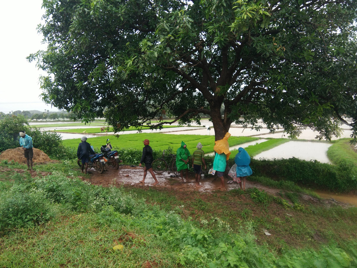 Heavy Rains East Godavari District Photo Gallery - Sakshi8