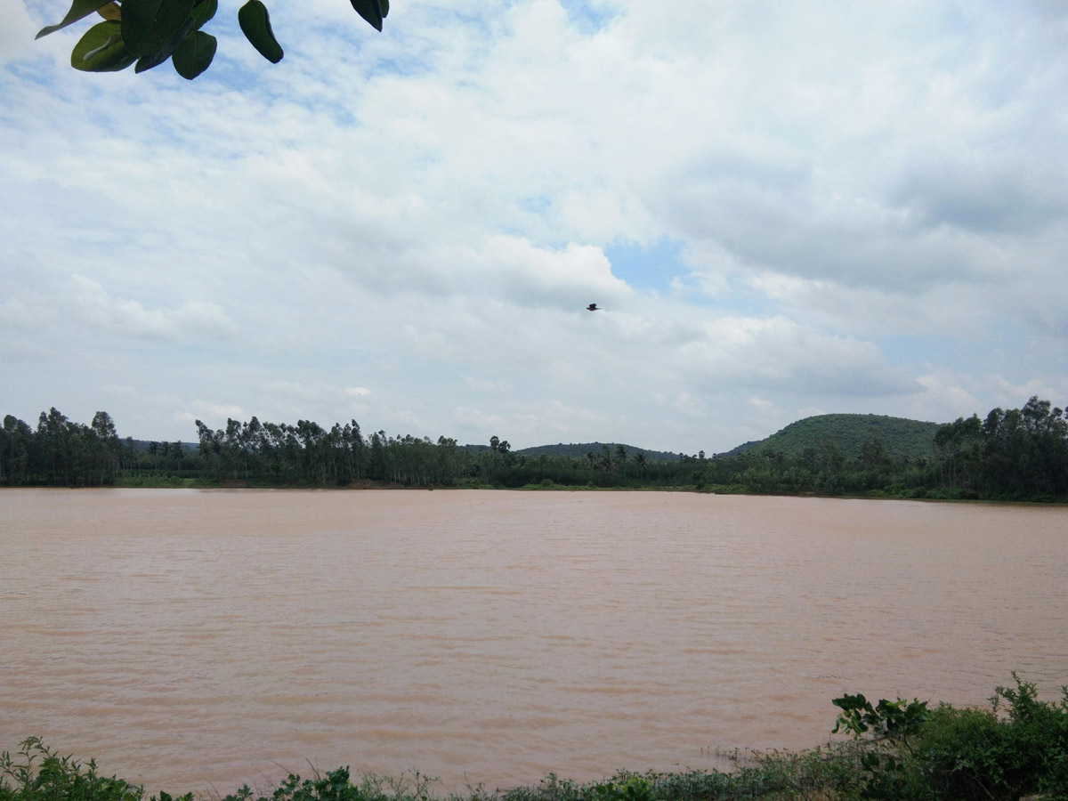 Heavy Rains East Godavari District Photo Gallery - Sakshi9