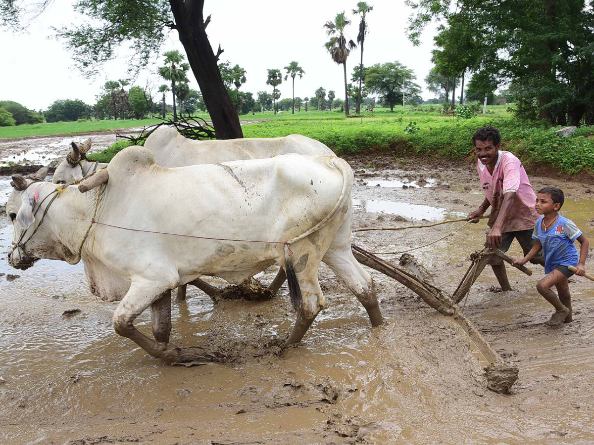 Best photos of The Week in AP and Telangana September 01-09-2019 to September 08-09- 2019 - Sakshi1