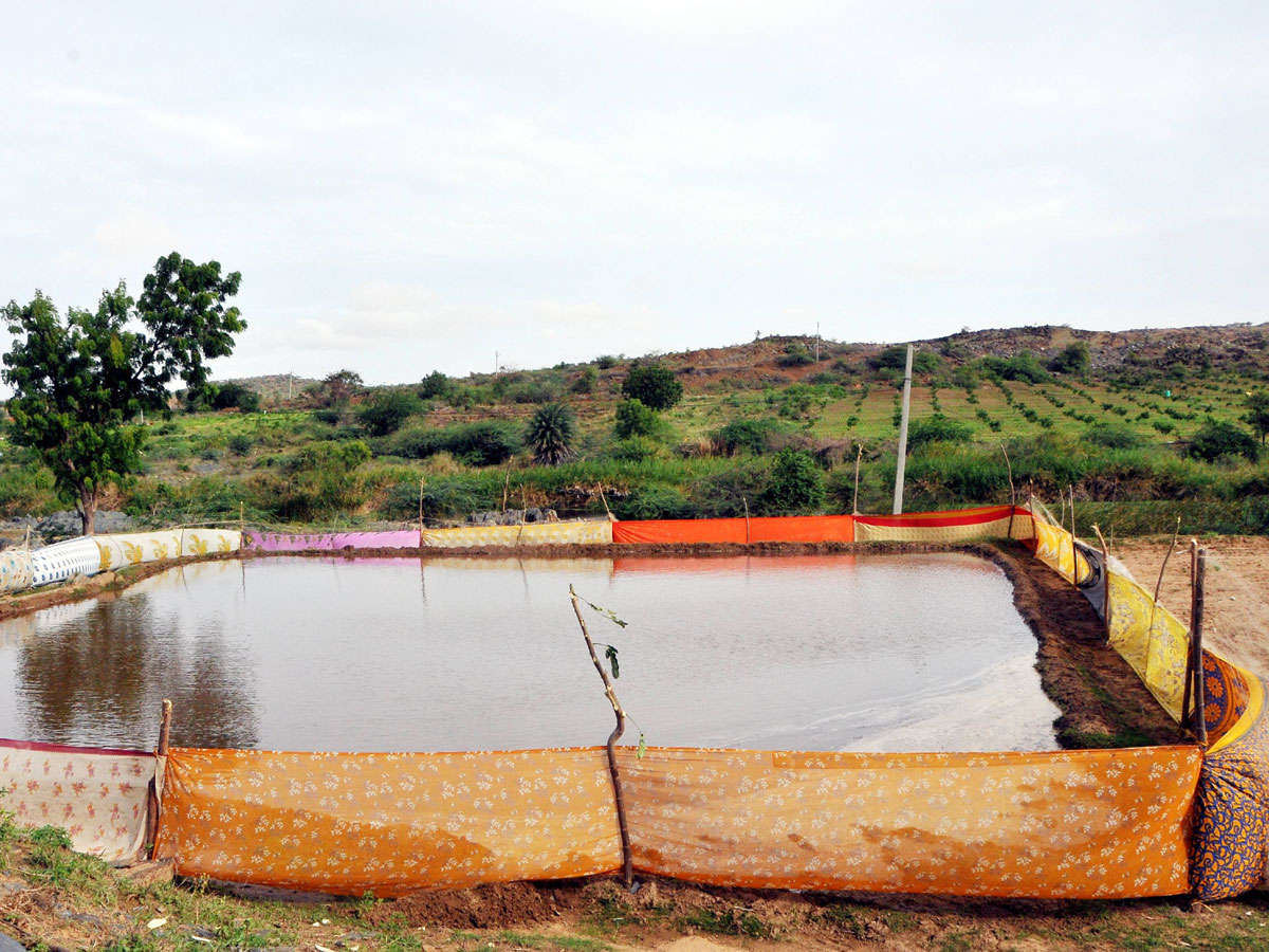 Best photos of The Week in AP and Telangana September 01-09-2019 to September 08-09- 2019 - Sakshi10