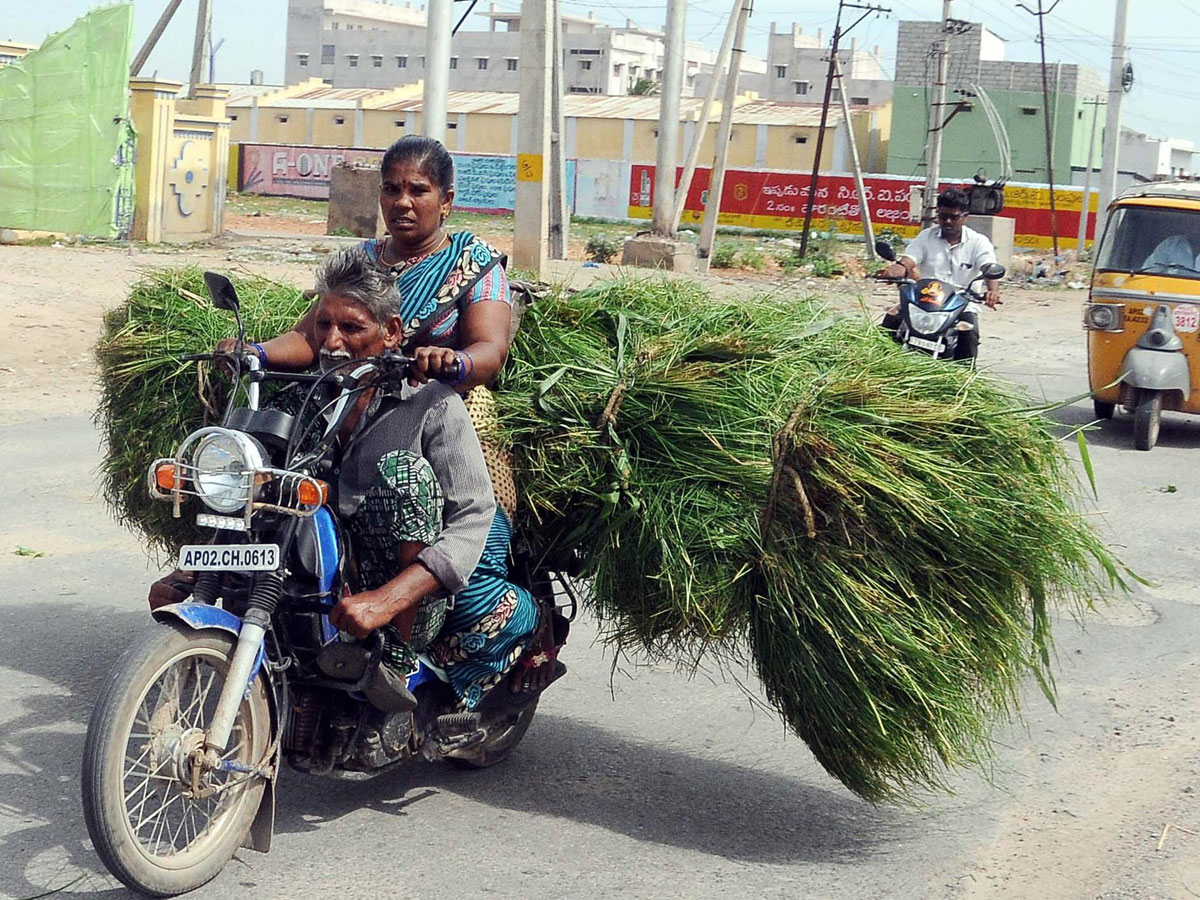 Best photos of The Week in AP and Telangana September 01-09-2019 to September 08-09- 2019 - Sakshi11