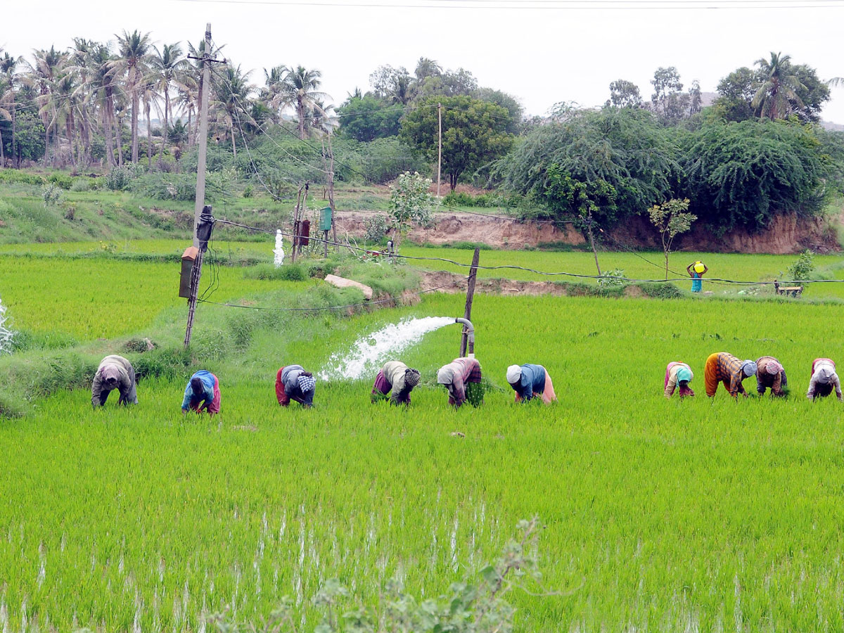 Best photos of The Week in AP and Telangana September 01-09-2019 to September 08-09- 2019 - Sakshi12