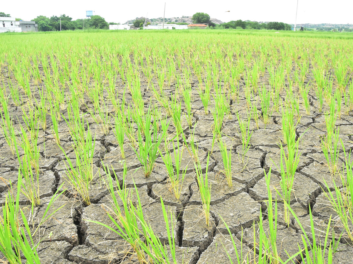 Best photos of The Week in AP and Telangana September 01-09-2019 to September 08-09- 2019 - Sakshi44