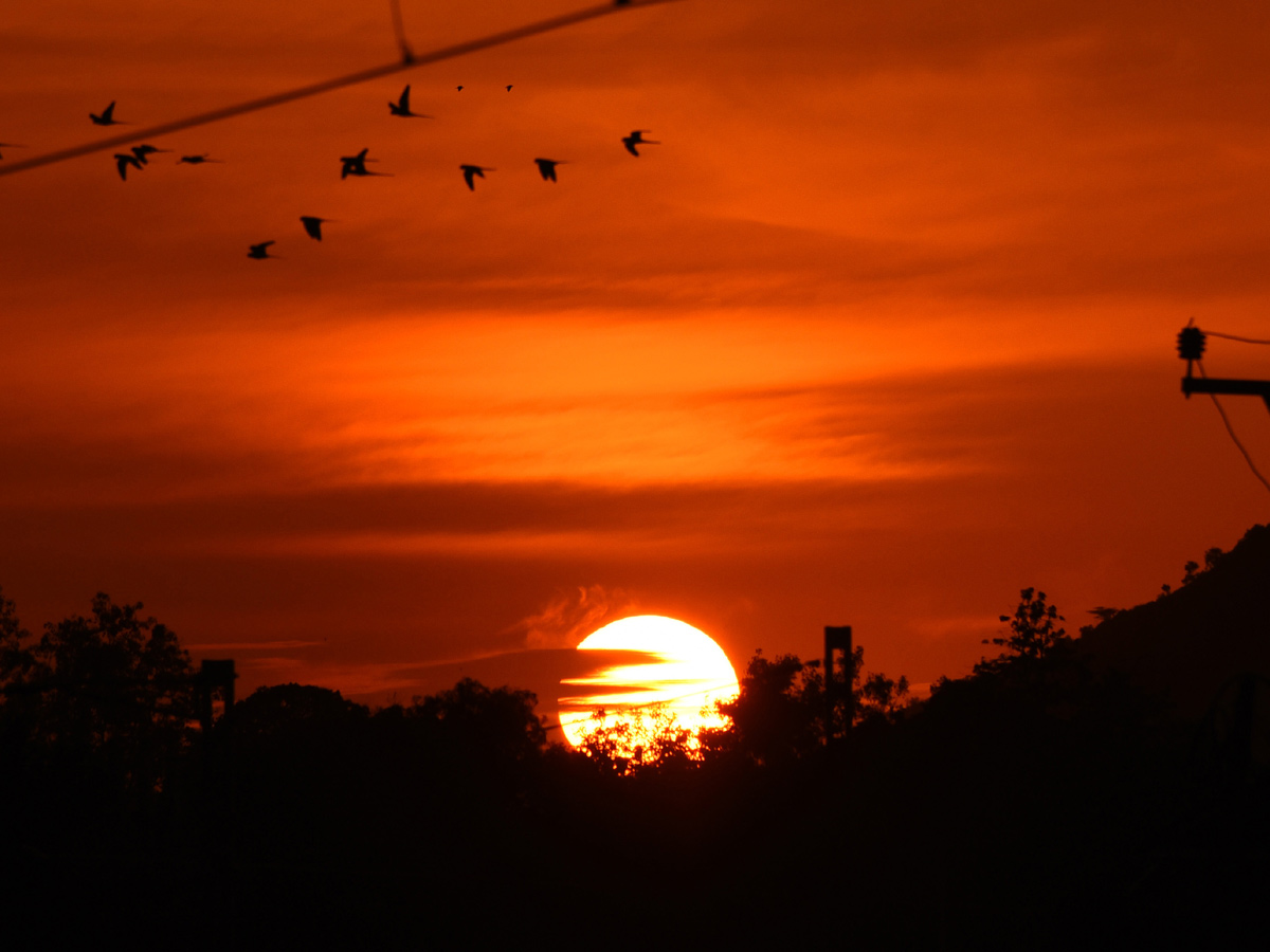 Best photos of The Week in AP and Telangana September 01-09-2019 to September 08-09- 2019 - Sakshi48