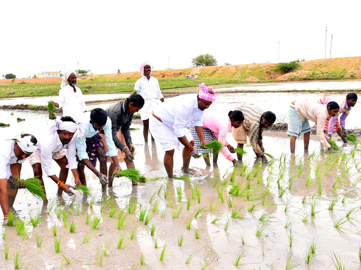 Best photos of The Week in AP and Telangana September 01-09-2019 to September 08-09- 2019 - Sakshi28