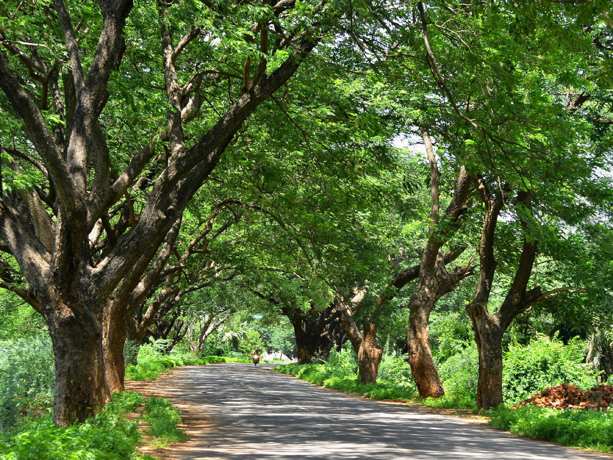 Best photos of The Week in AP and Telangana September 01-09-2019 to September 08-09- 2019 - Sakshi51