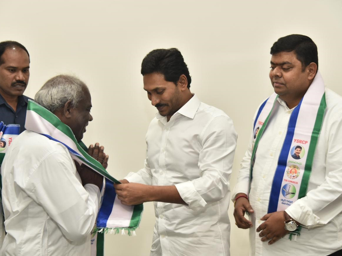 Visakha Dairy Adari Anand Joins Ysr Congress Party Photo Gallery - Sakshi11