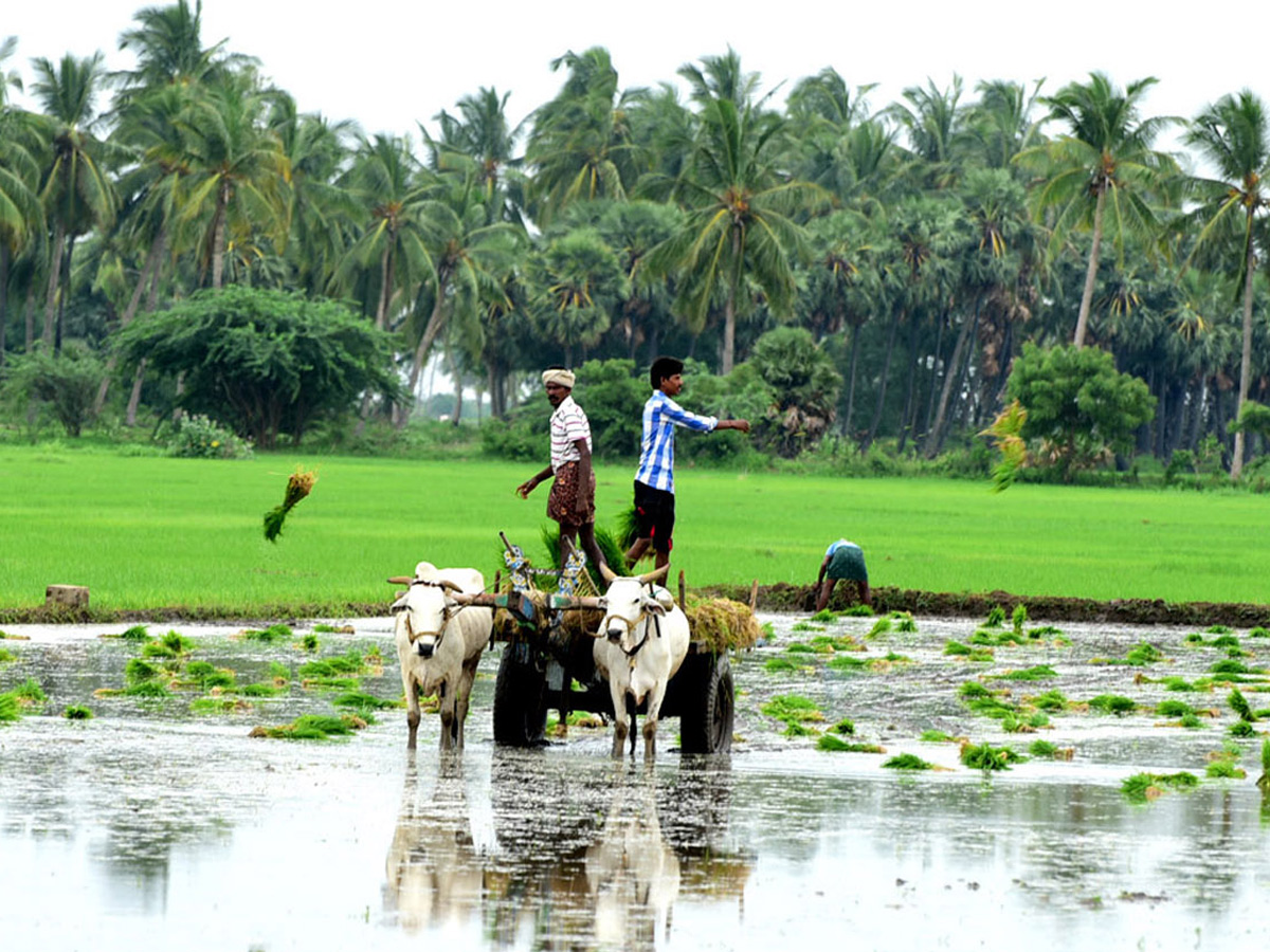 Best photos of The Week in AP and Telangana September 01-09-2019 to September 08-09- 2019 - Sakshi29