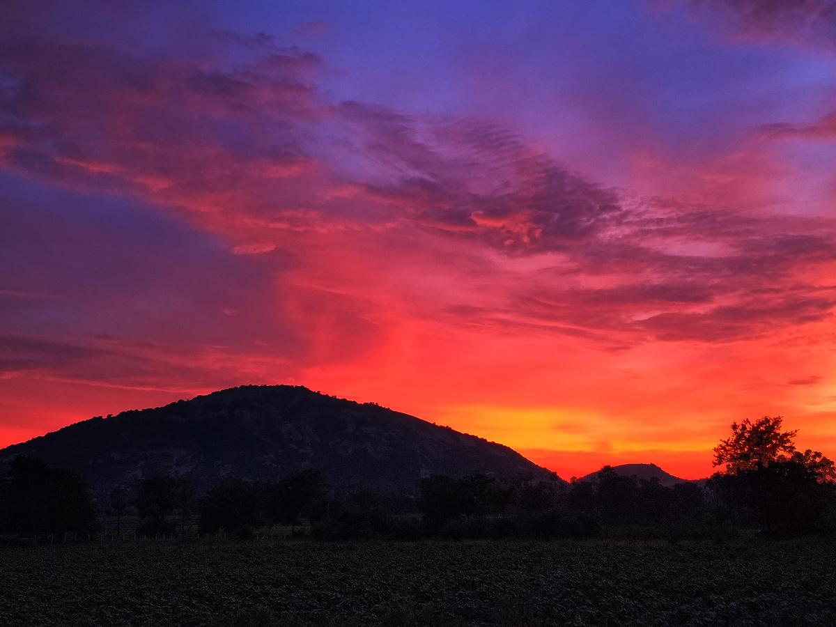 Best photos of The Week in AP and Telangana September 01-09-2019 to September 08-09- 2019 - Sakshi46