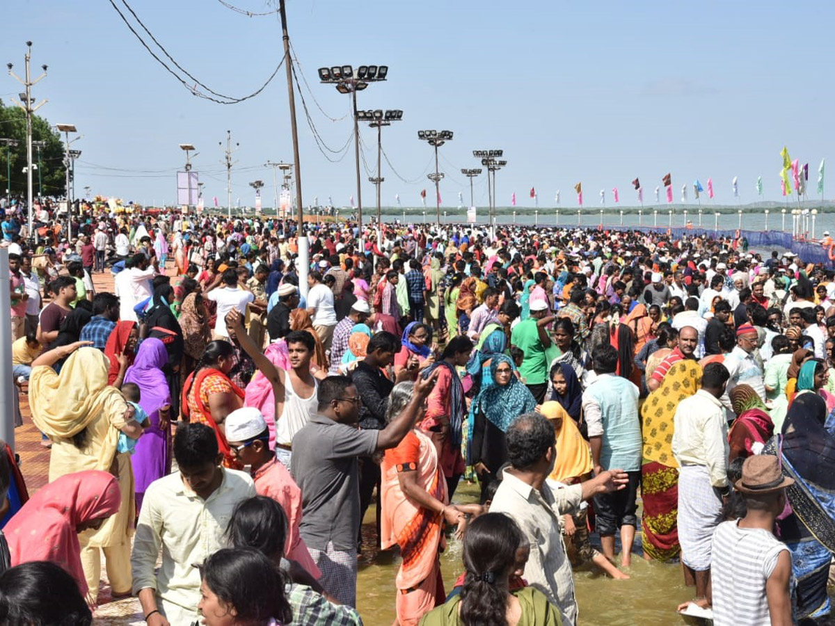 Rottela Panduga 2019 Celebrations In Nellore Photo Gallery - Sakshi13