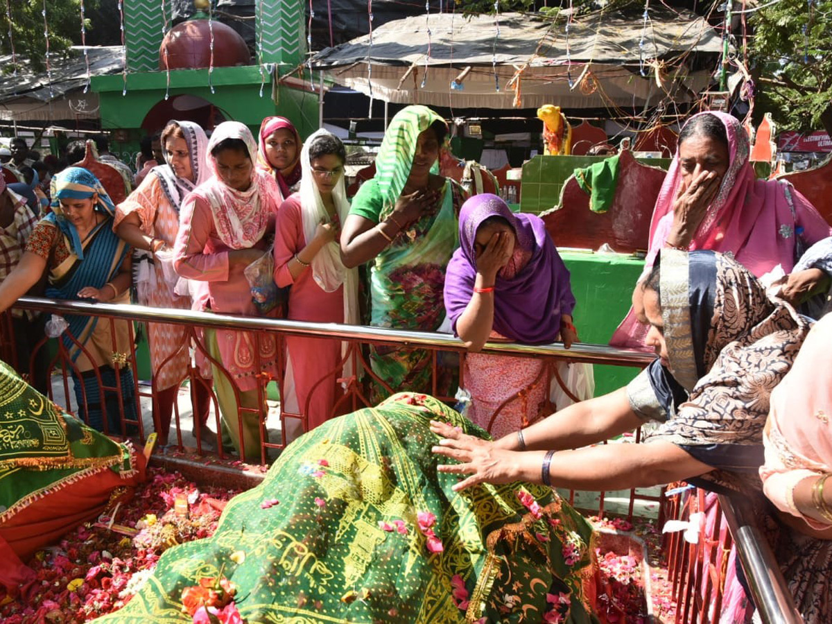 Rottela Panduga 2019 Celebrations In Nellore Photo Gallery - Sakshi14