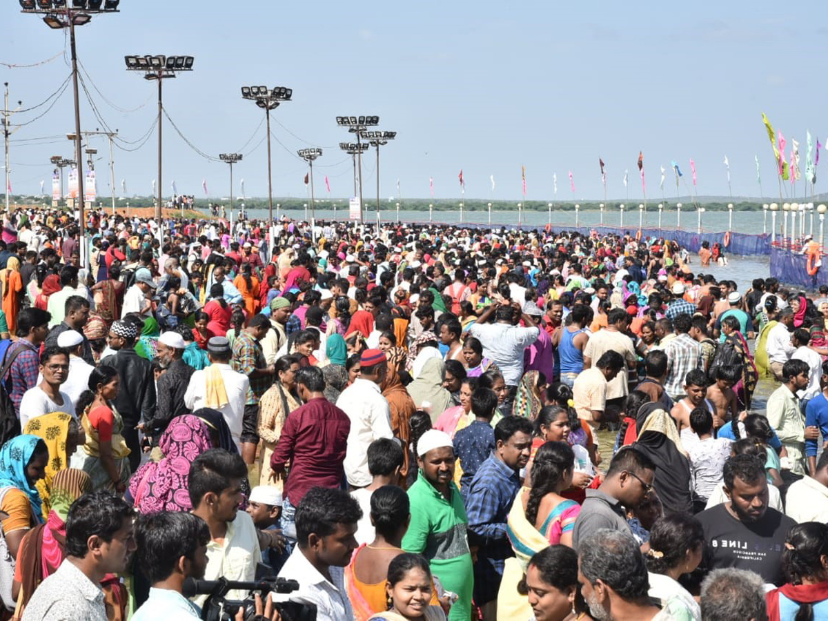 Rottela Panduga 2019 Celebrations In Nellore Photo Gallery - Sakshi16