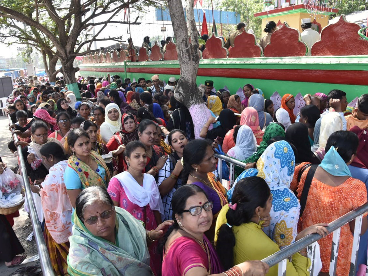 Rottela Panduga 2019 Celebrations In Nellore Photo Gallery - Sakshi3