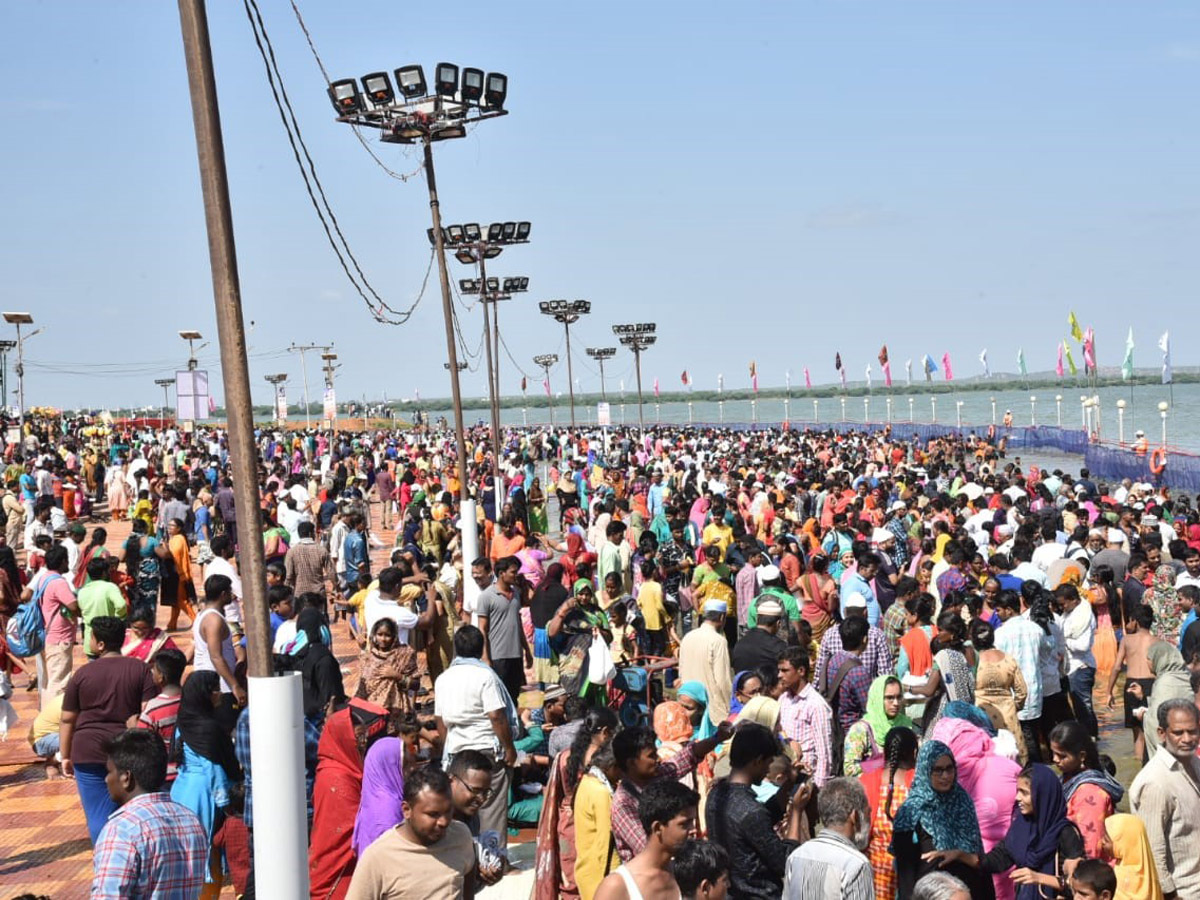 Rottela Panduga 2019 Celebrations In Nellore Photo Gallery - Sakshi4