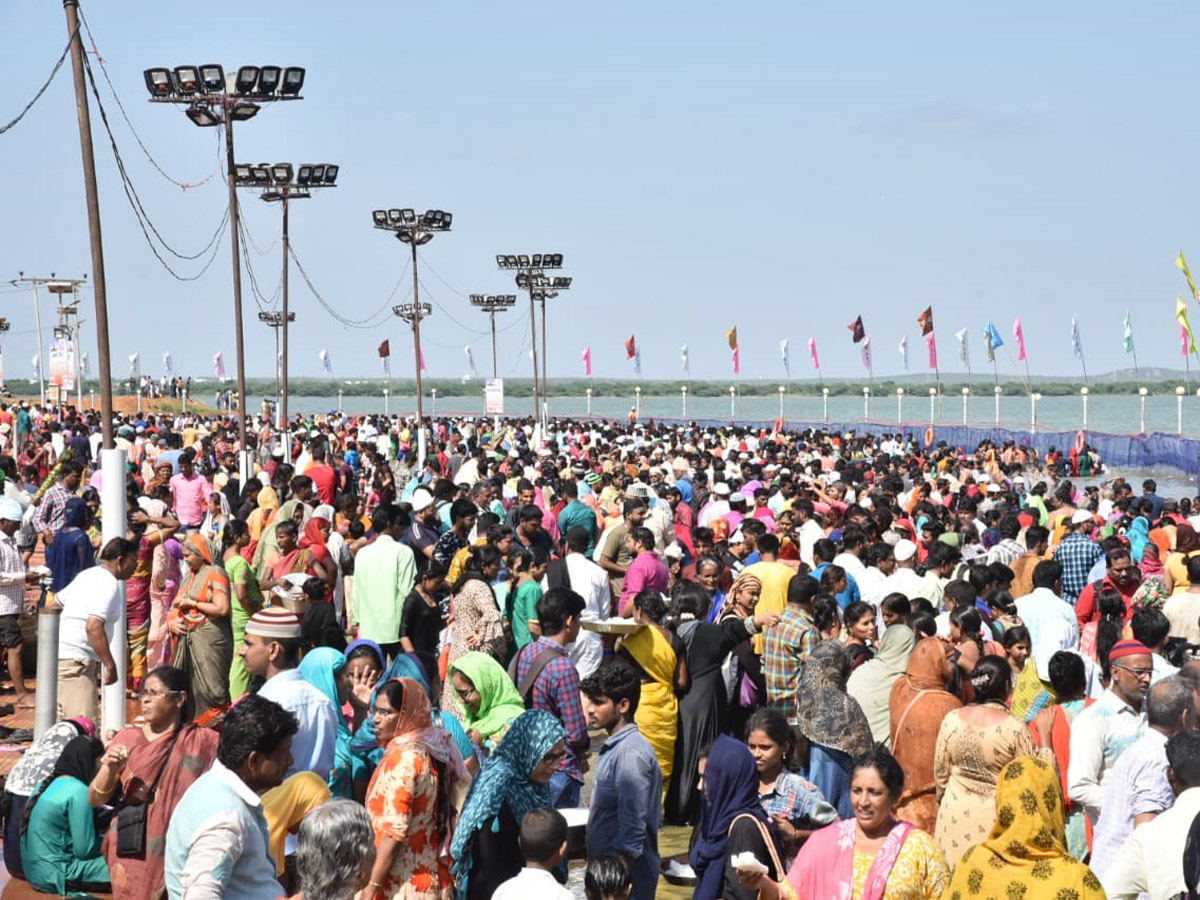 Rottela Panduga 2019 Celebrations In Nellore Photo Gallery - Sakshi9