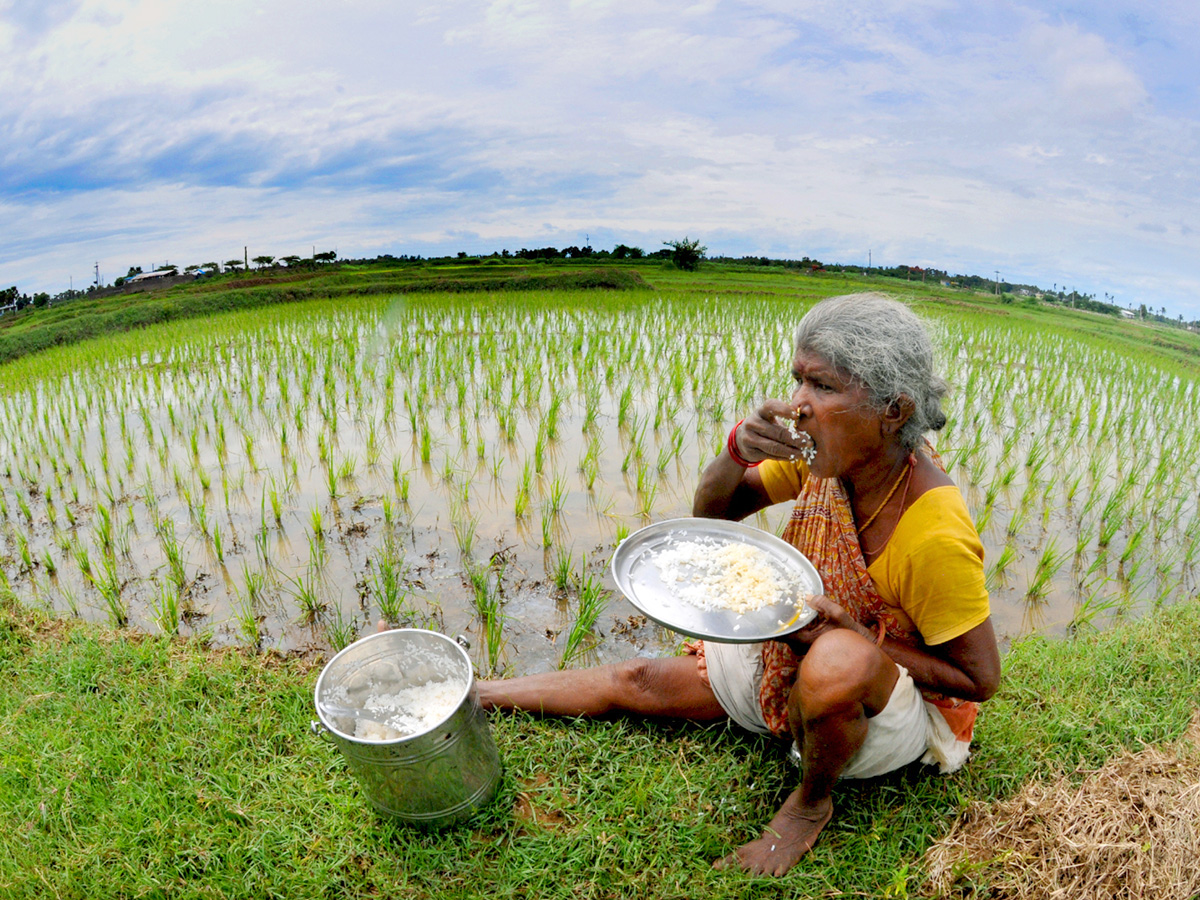 Best pics of The Week in AP and Telangana September 15-09-2019 to September 22-09- 2019 - Sakshi33