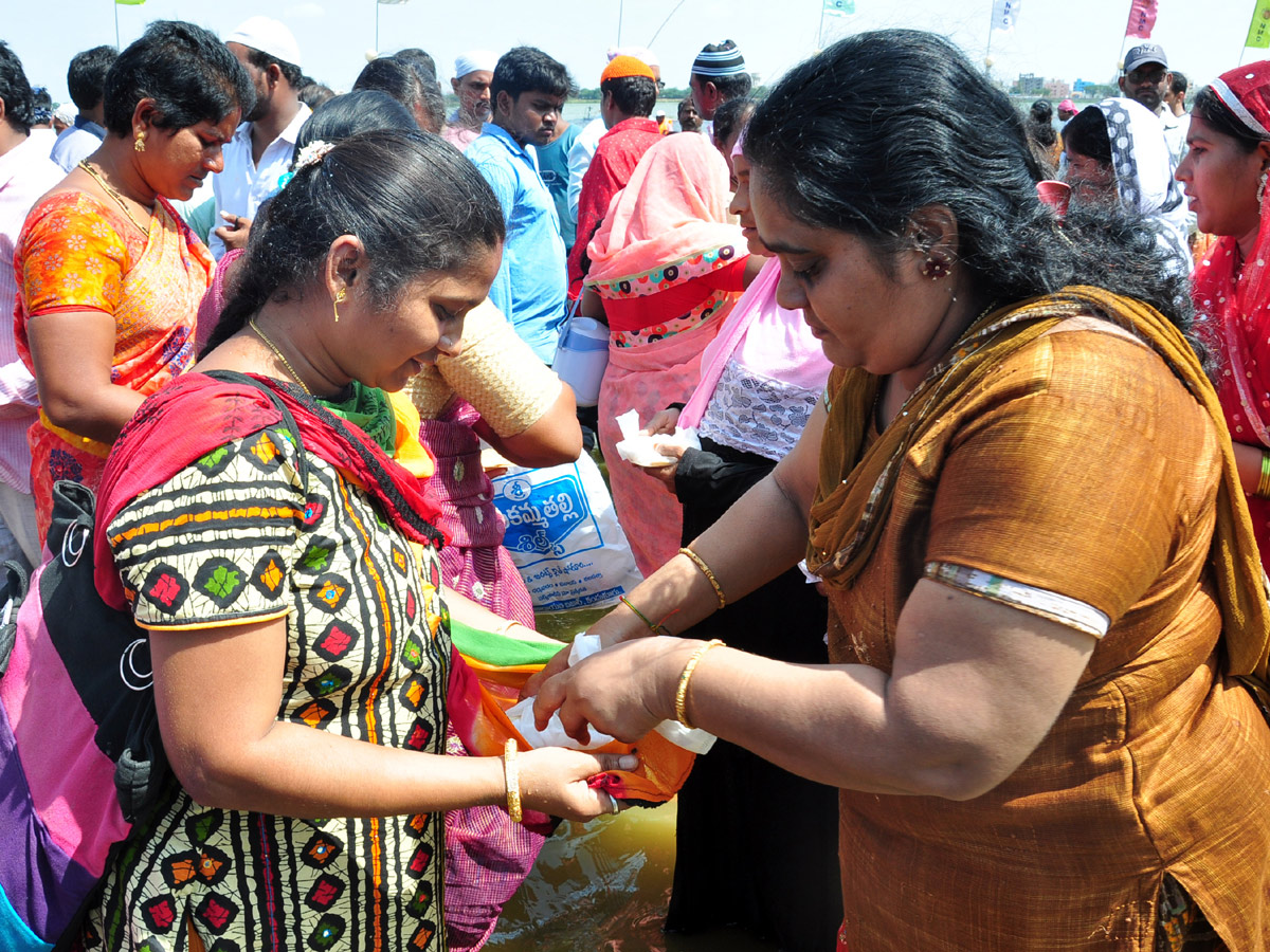 Rottela Panduga 2019 Celebrations In Nellore Photo Gallery - Sakshi11