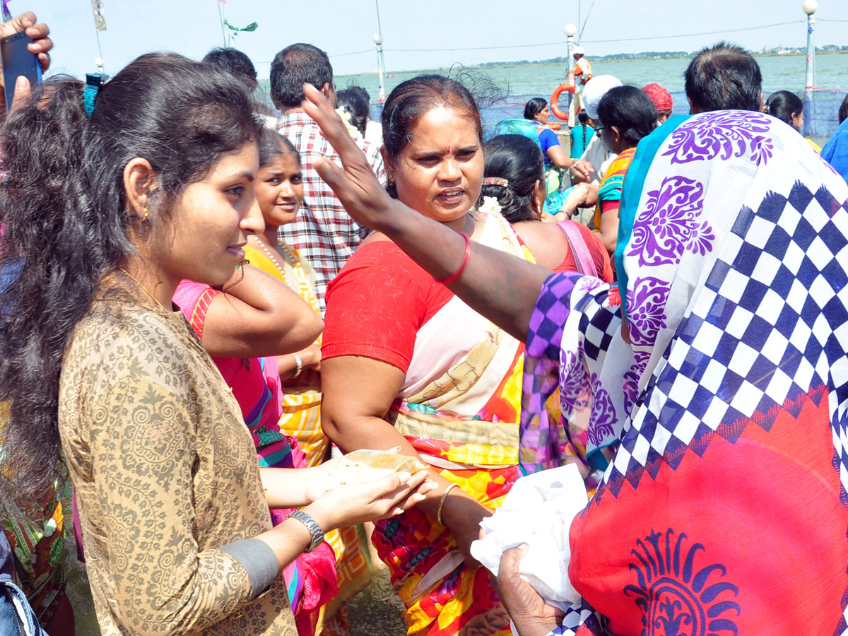 Rottela Panduga 2019 Celebrations In Nellore Photo Gallery - Sakshi24