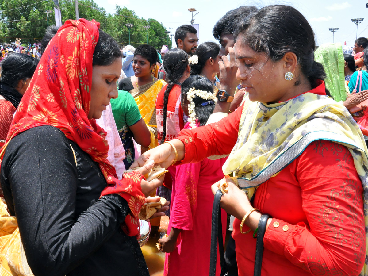 Rottela Panduga 2019 Celebrations In Nellore Photo Gallery - Sakshi32