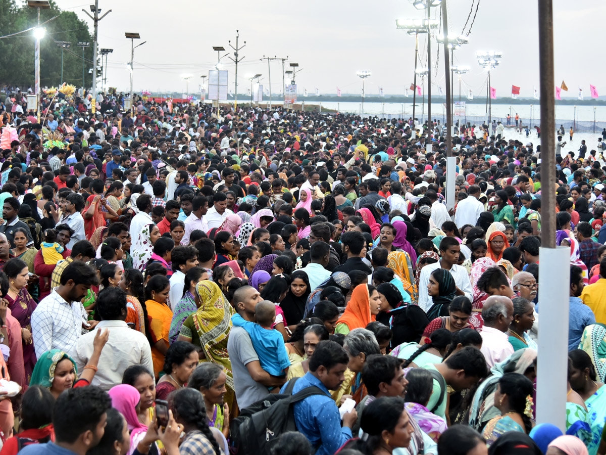 Rottela Panduga 2019 Celebrations In Nellore Photo Gallery - Sakshi36