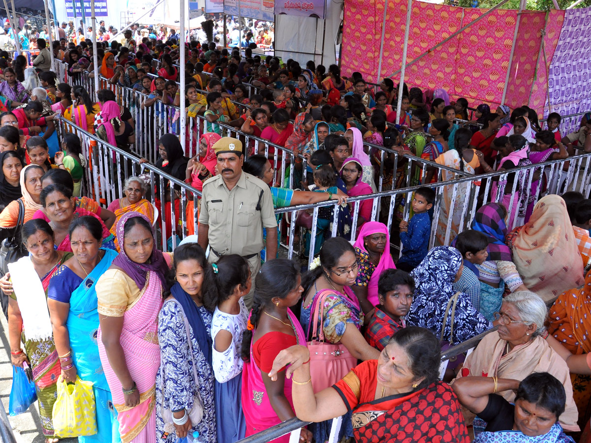 Rottela Panduga 2019 Celebrations In Nellore Photo Gallery - Sakshi47