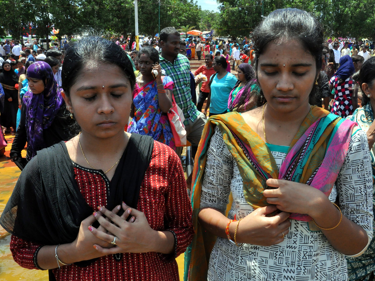 Rottela Panduga 2019 Celebrations In Nellore Photo Gallery - Sakshi49