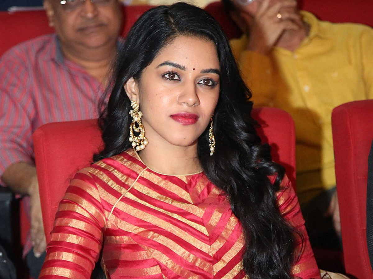 Valmiki Movie Pre Release Event  - Sakshi8