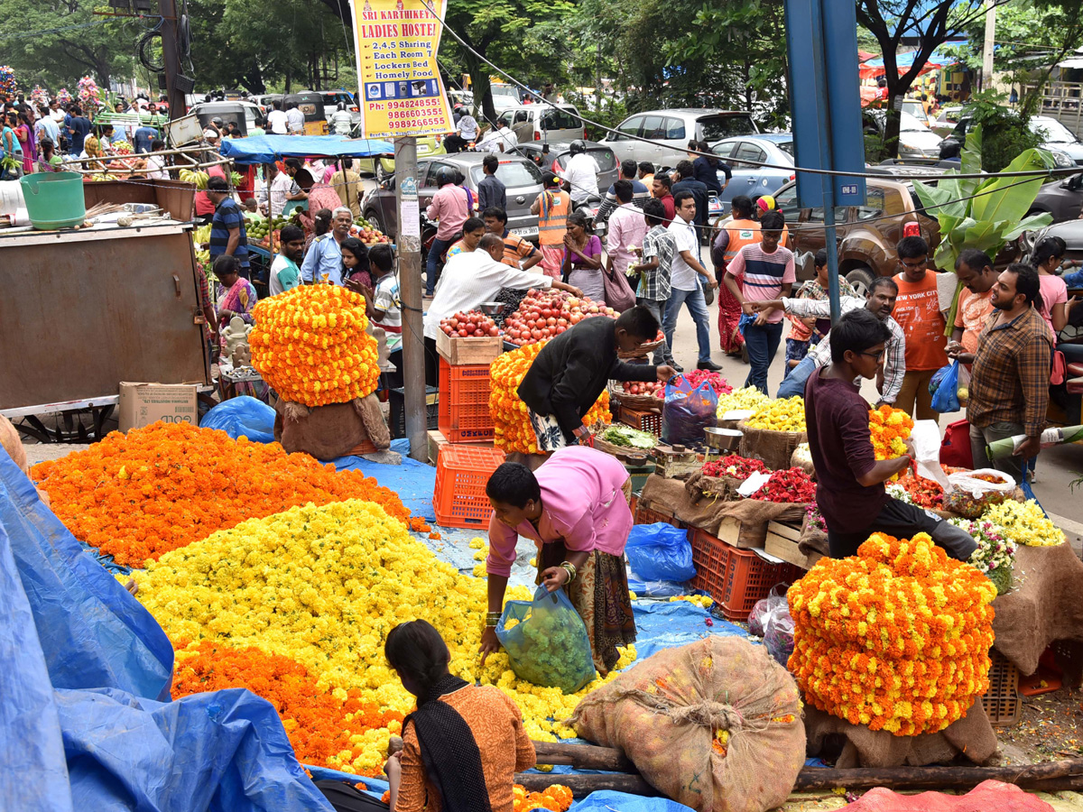 Ganesh Chaturthi Festival AP and Telangana Photo Gallery - Sakshi9