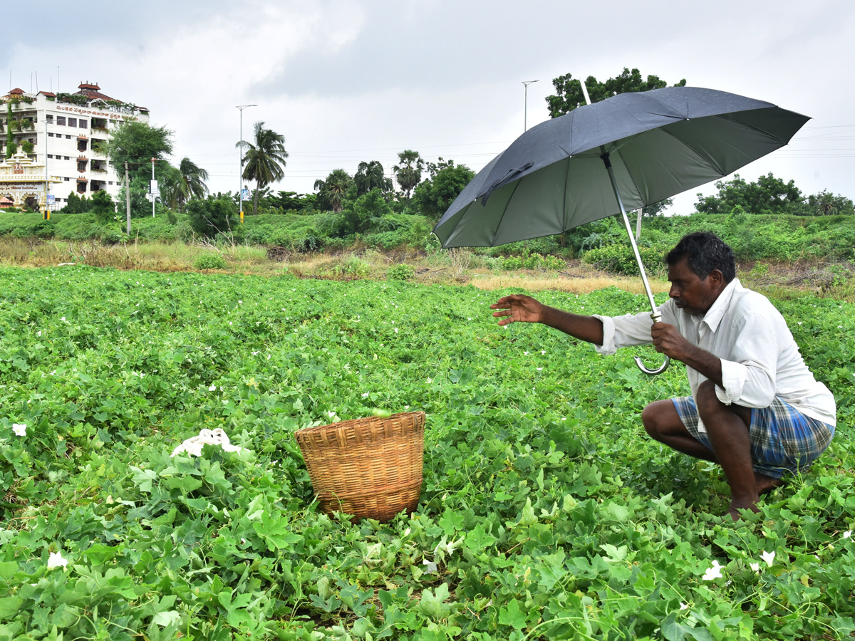 Best photos of The Week in AP and Telangana September 22-09-2019 to September 29-09- 2019 - Sakshi4