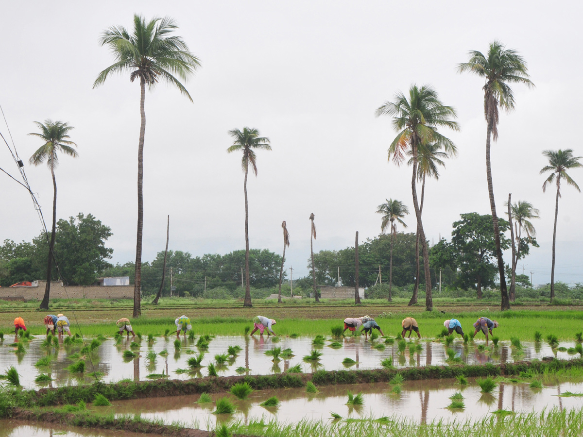 Best photos of The Week in AP and Telangana September 22-09-2019 to September 29-09- 2019 - Sakshi12