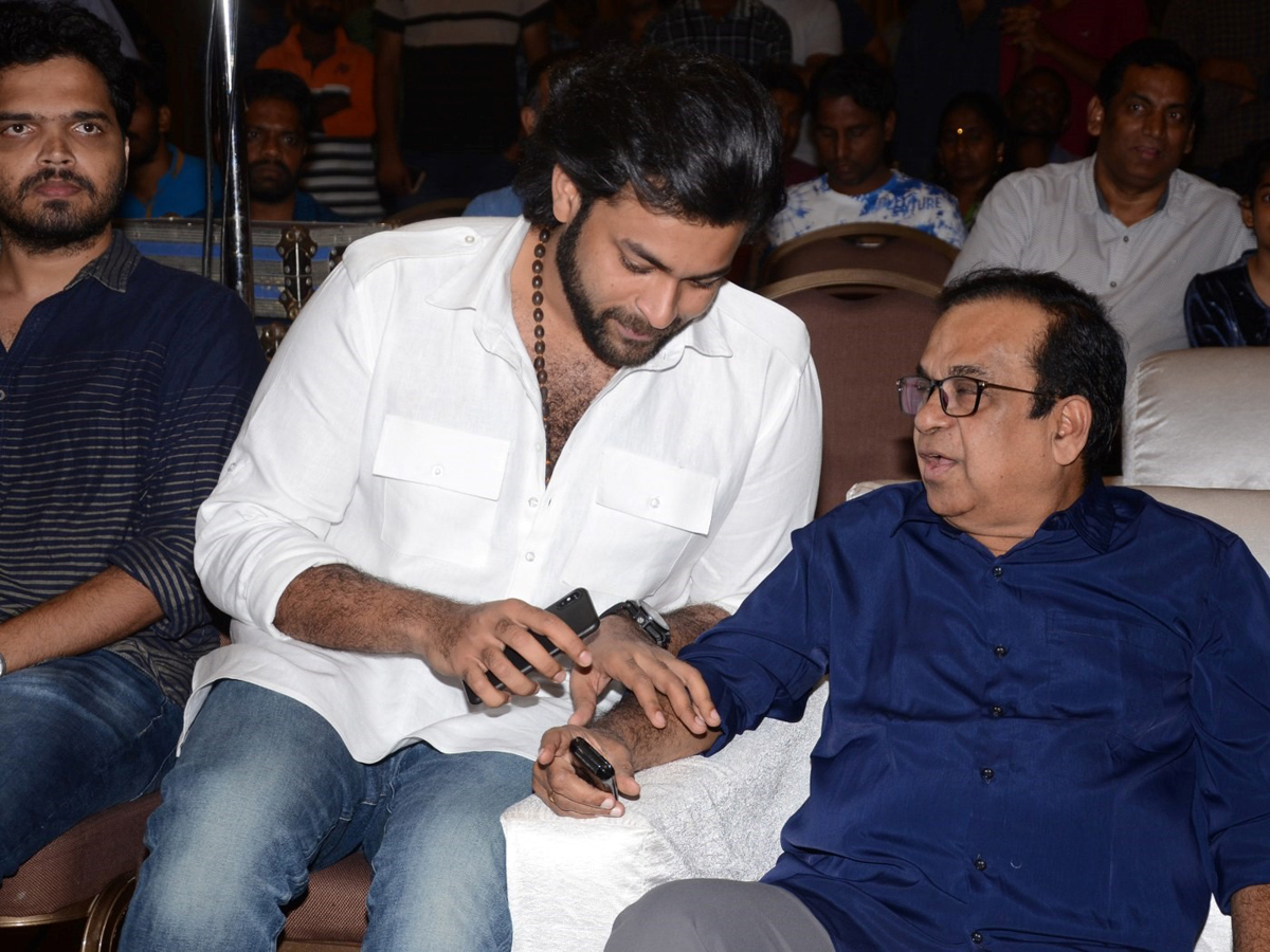 Gaddalakonda Ganesh Success Meet Photo Gallery - Sakshi14