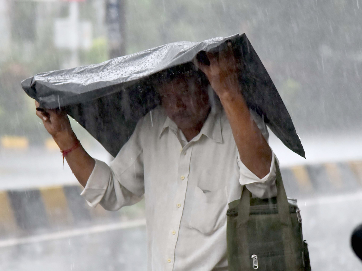 heavy rain in hyderabad Photo Gallery - Sakshi31