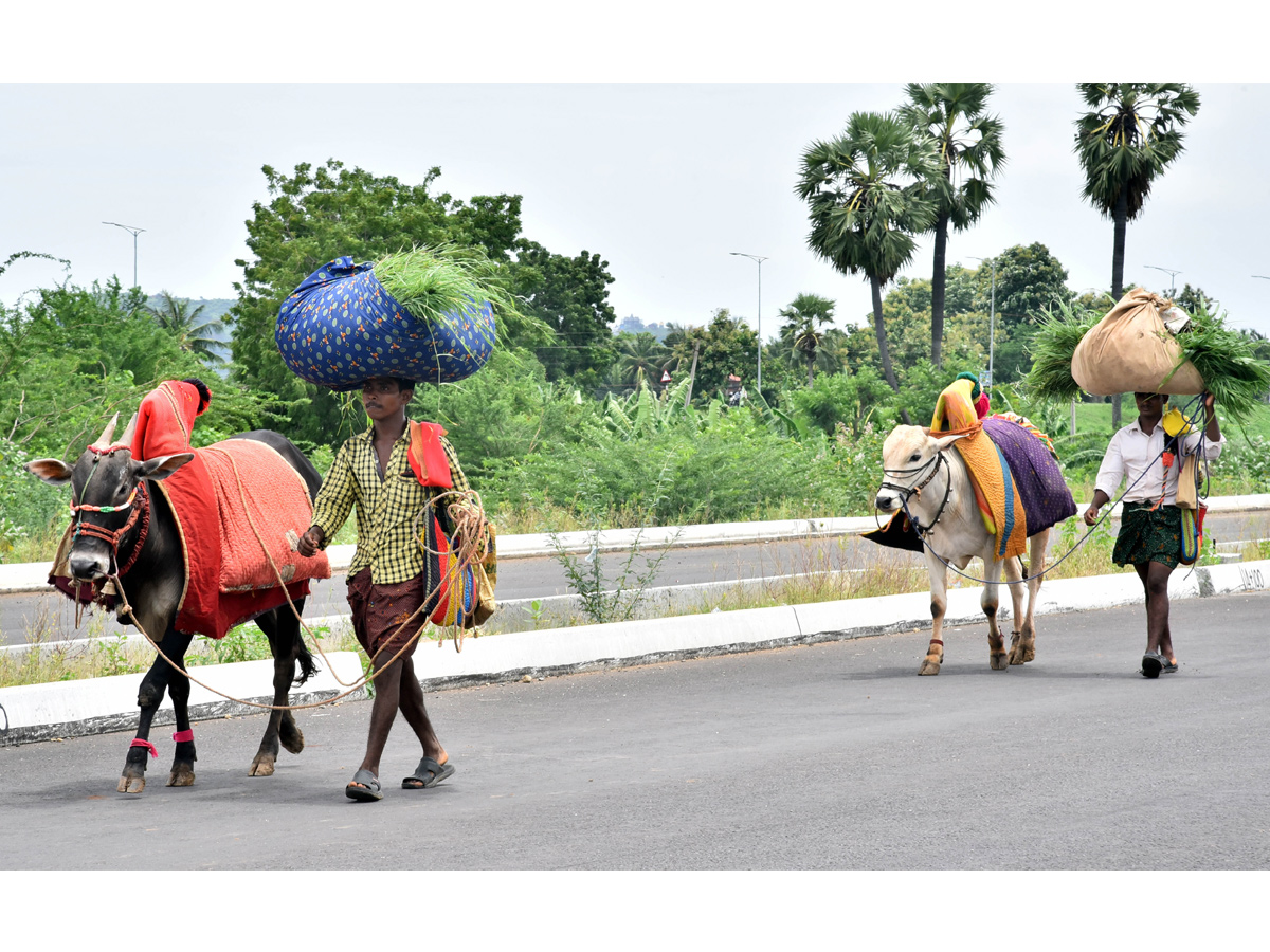 Best Photos of The Week in AP and Telangana September 29-09-2019 to october 06-10- 2019 - Sakshi12