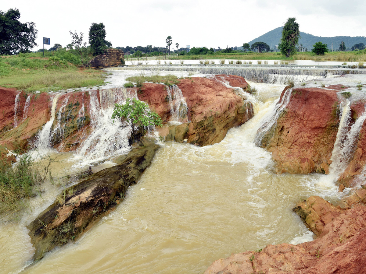 Best Photos of The Week in AP and Telangana September 29-09-2019 to october 06-10- 2019 - Sakshi9