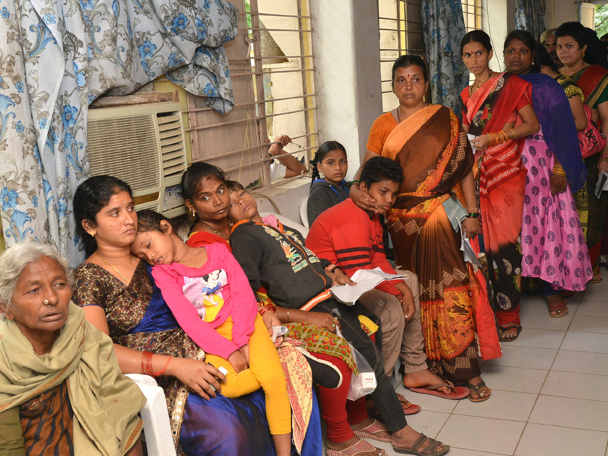 Viral Fever Dengue Cases Rise in Hyderabad Photo Gallery - Sakshi25