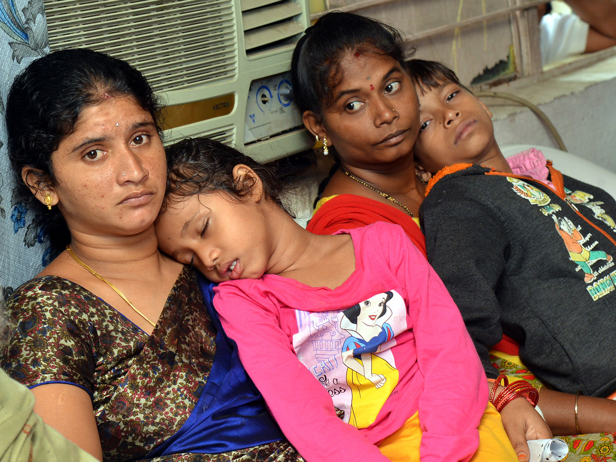 Viral Fever Dengue Cases Rise in Hyderabad Photo Gallery - Sakshi26