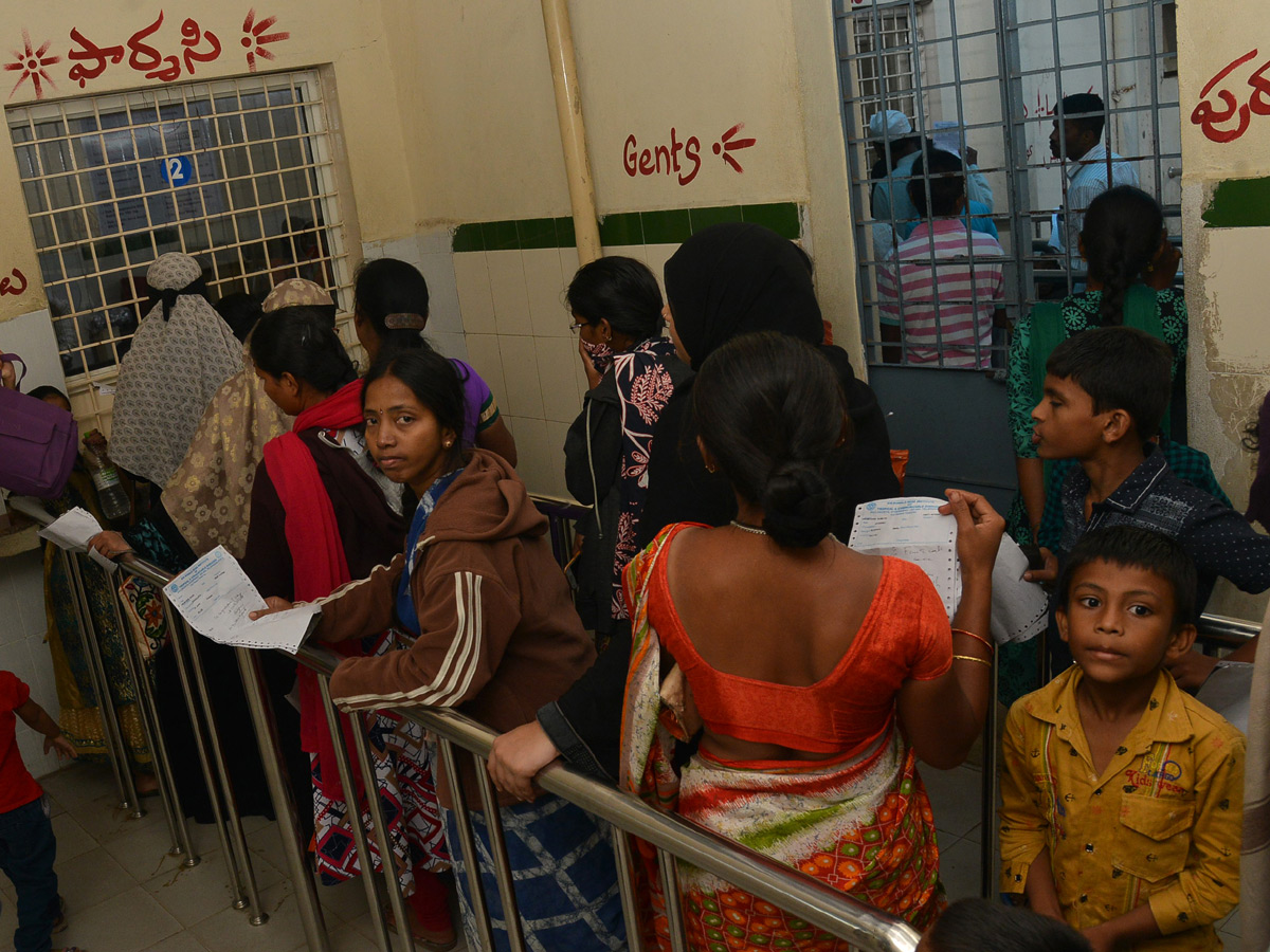 Viral Fever Dengue Cases Rise in Hyderabad Photo Gallery - Sakshi34