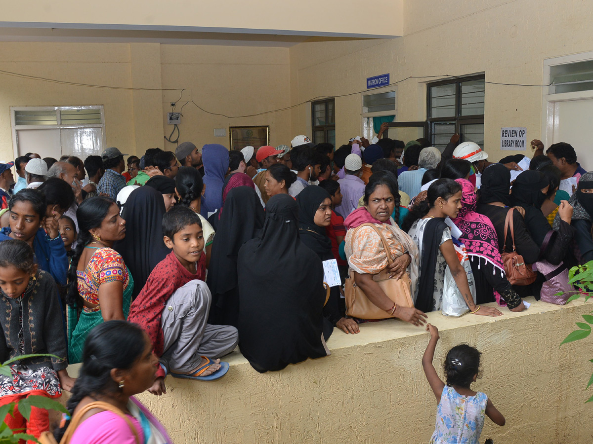 Viral Fever Dengue Cases Rise in Hyderabad Photo Gallery - Sakshi40