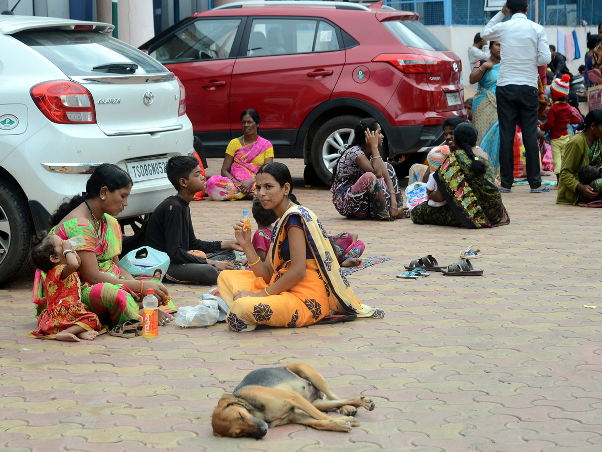 Viral Fever Dengue Cases Rise in Hyderabad Photo Gallery - Sakshi42