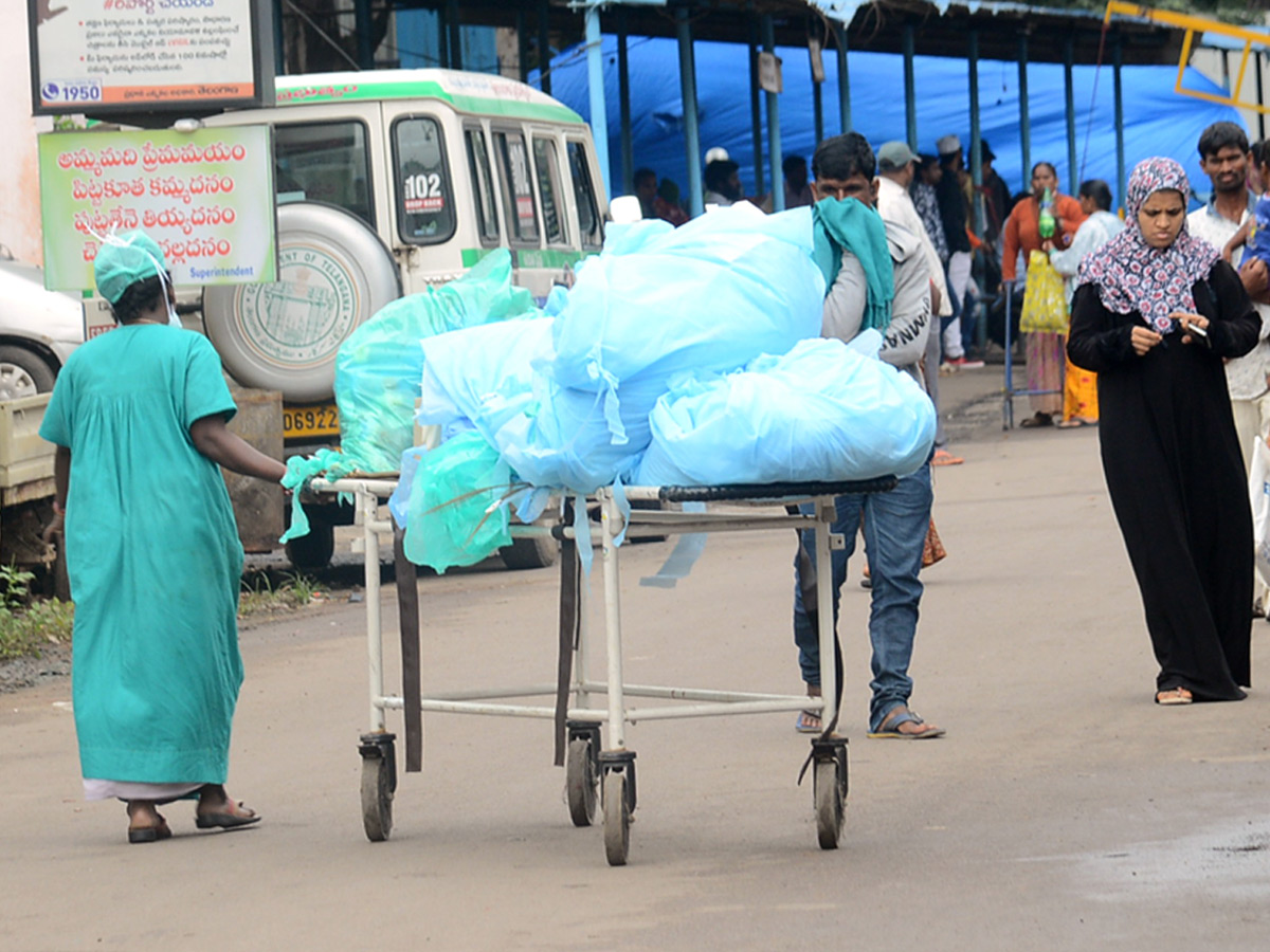 Viral Fever Dengue Cases Rise in Hyderabad Photo Gallery - Sakshi43