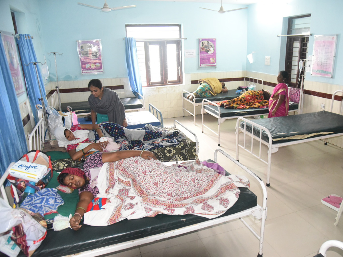 Viral Fever Dengue Cases Rise in Hyderabad Photo Gallery - Sakshi7