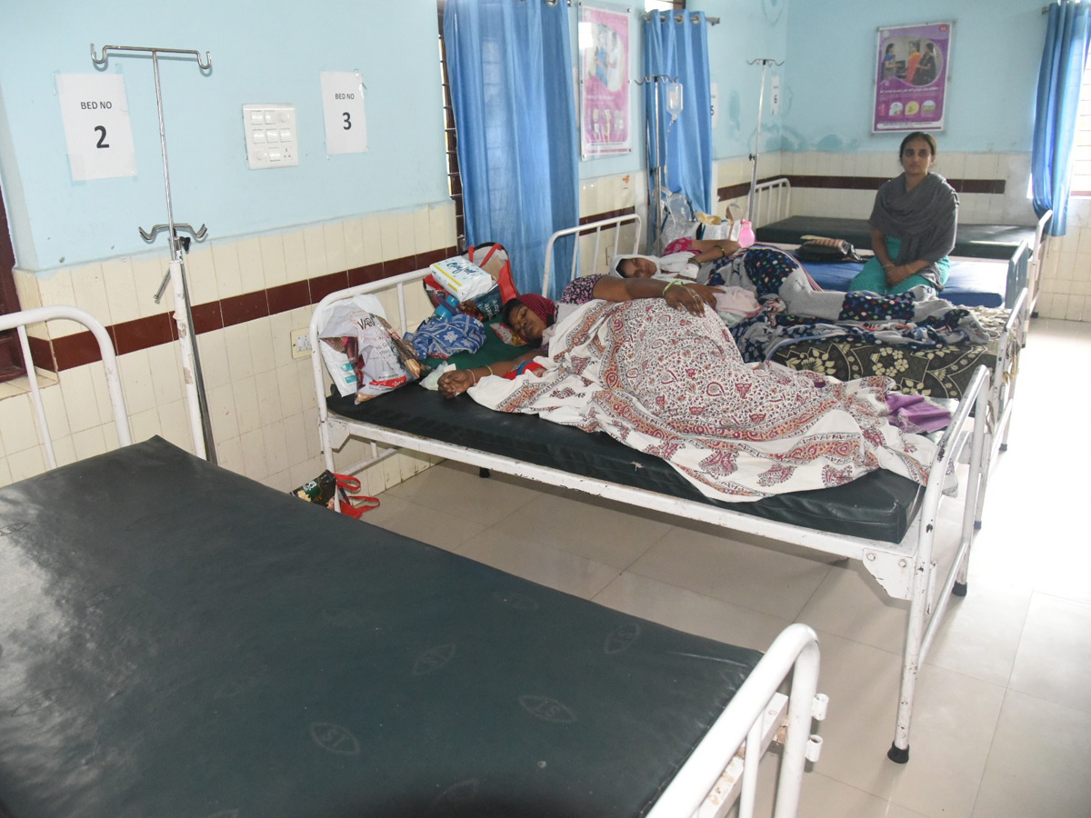 Viral Fever Dengue Cases Rise in Hyderabad Photo Gallery - Sakshi9