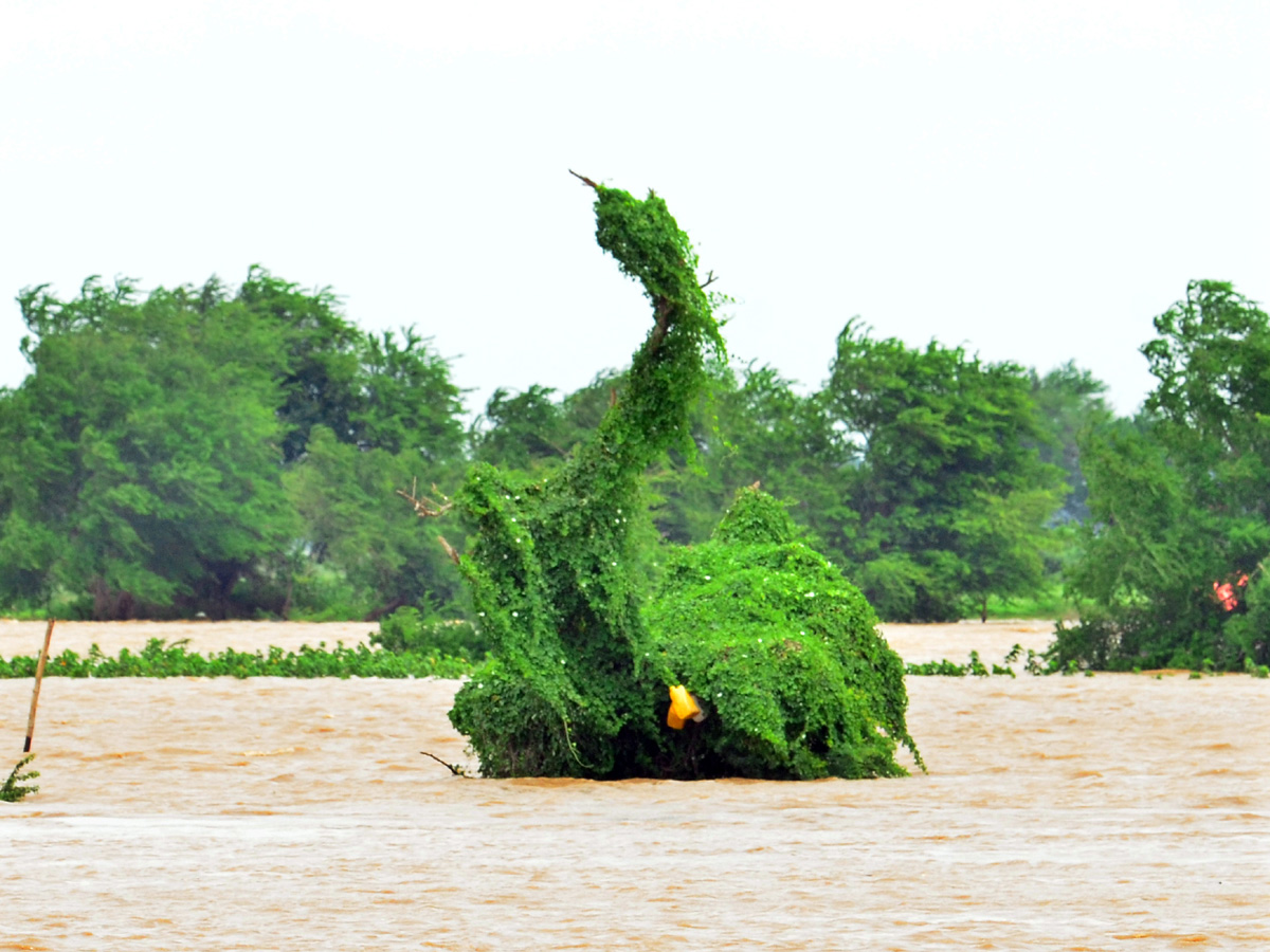 Best Photos Week Ap-And Telangana August 25 08 2019 september 08 09 2019 - Sakshi14