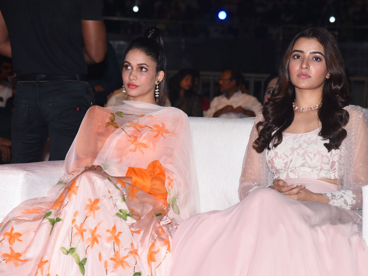 Cine Mahotsavam 2019 Event Photo Gallery - Sakshi43