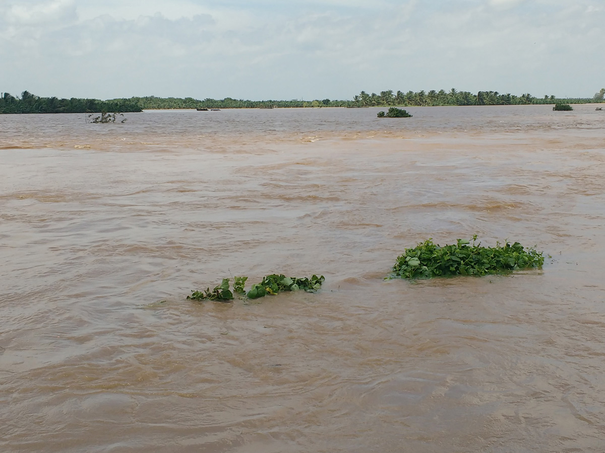 Heavy Flood Water flows To Godavari River Photo Gallery - Sakshi14