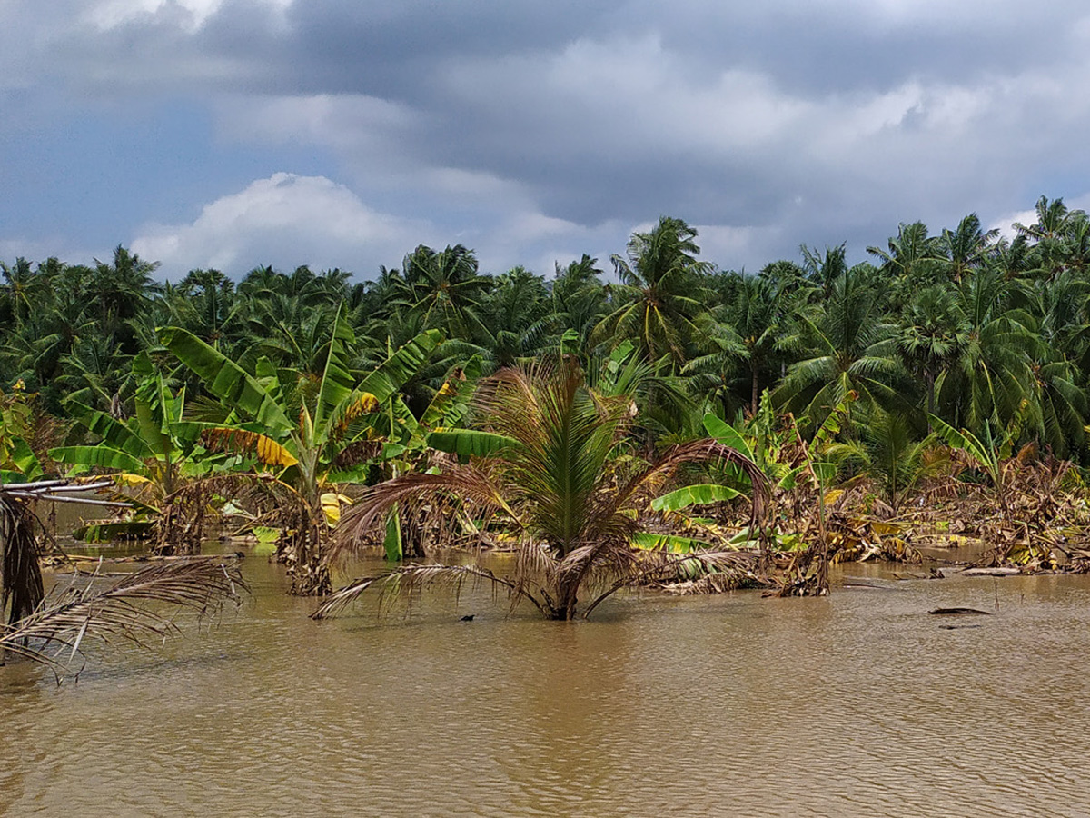 Heavy Flood Water flows To Godavari River Photo Gallery - Sakshi40