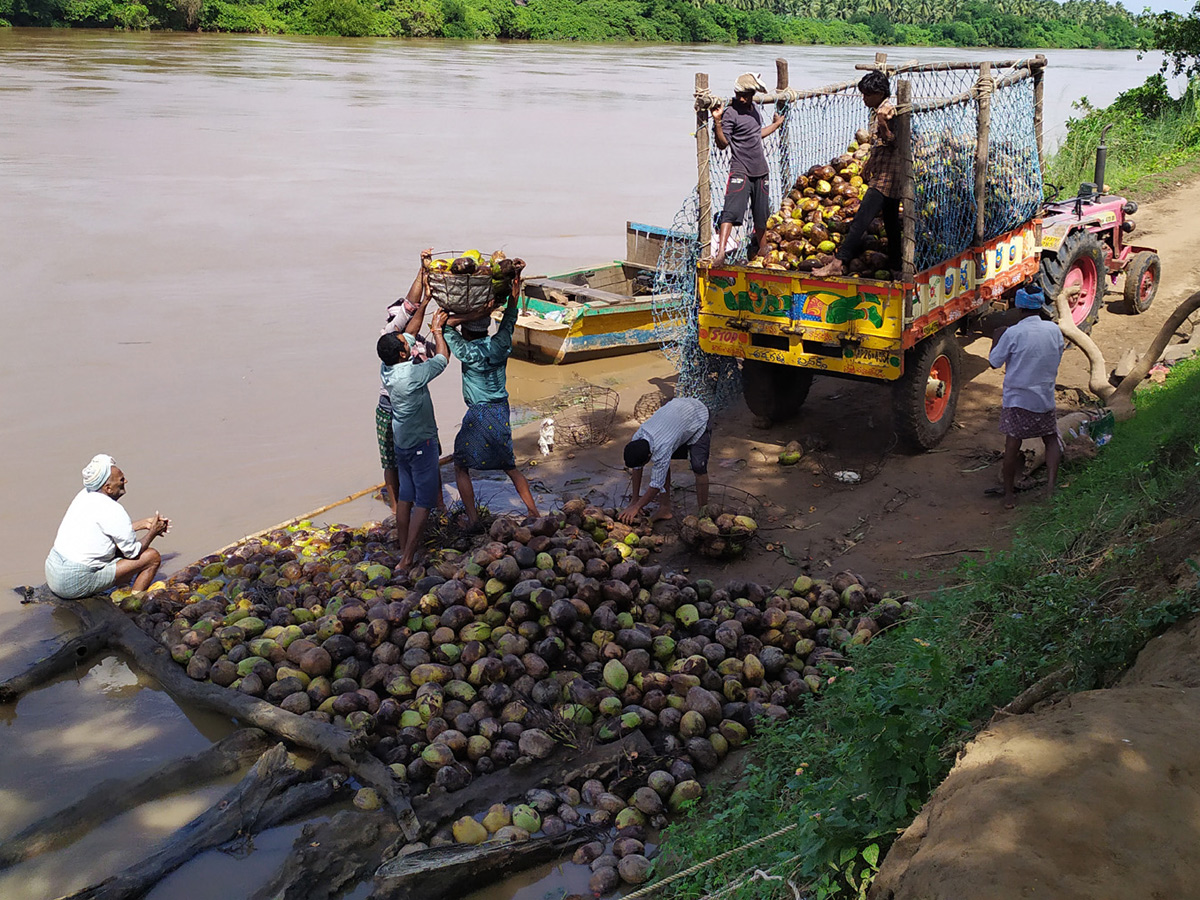 Heavy Flood Water flows To Godavari River Photo Gallery - Sakshi42