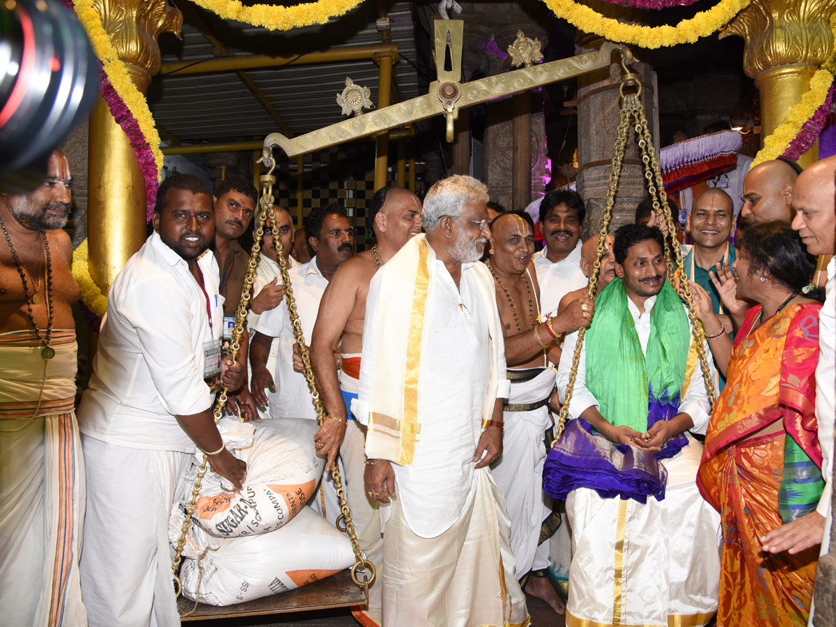 AP CM YS Jagan Offers Special Prayers at Tirumala Brahmotsavam 2019 Photo Gallery - Sakshi4