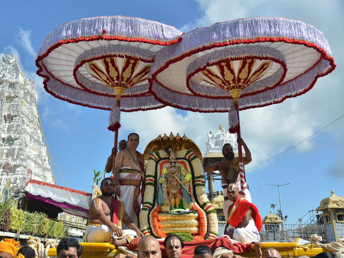 Bramotsavams Sri vari Chinnasesha Vahana at Tirumala Photo Gallery - Sakshi1