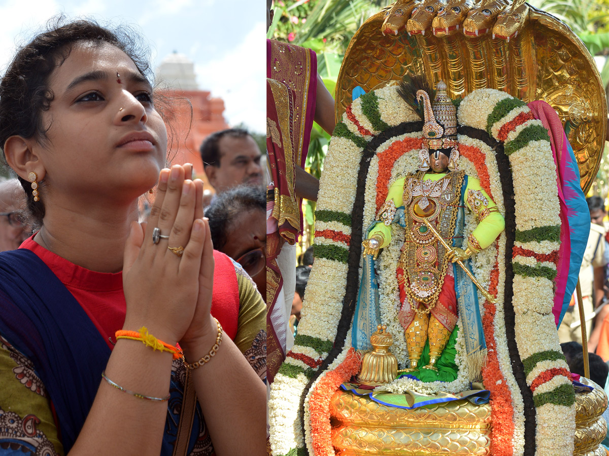 Bramotsavams Sri vari Chinnasesha Vahana at Tirumala Photo Gallery - Sakshi11